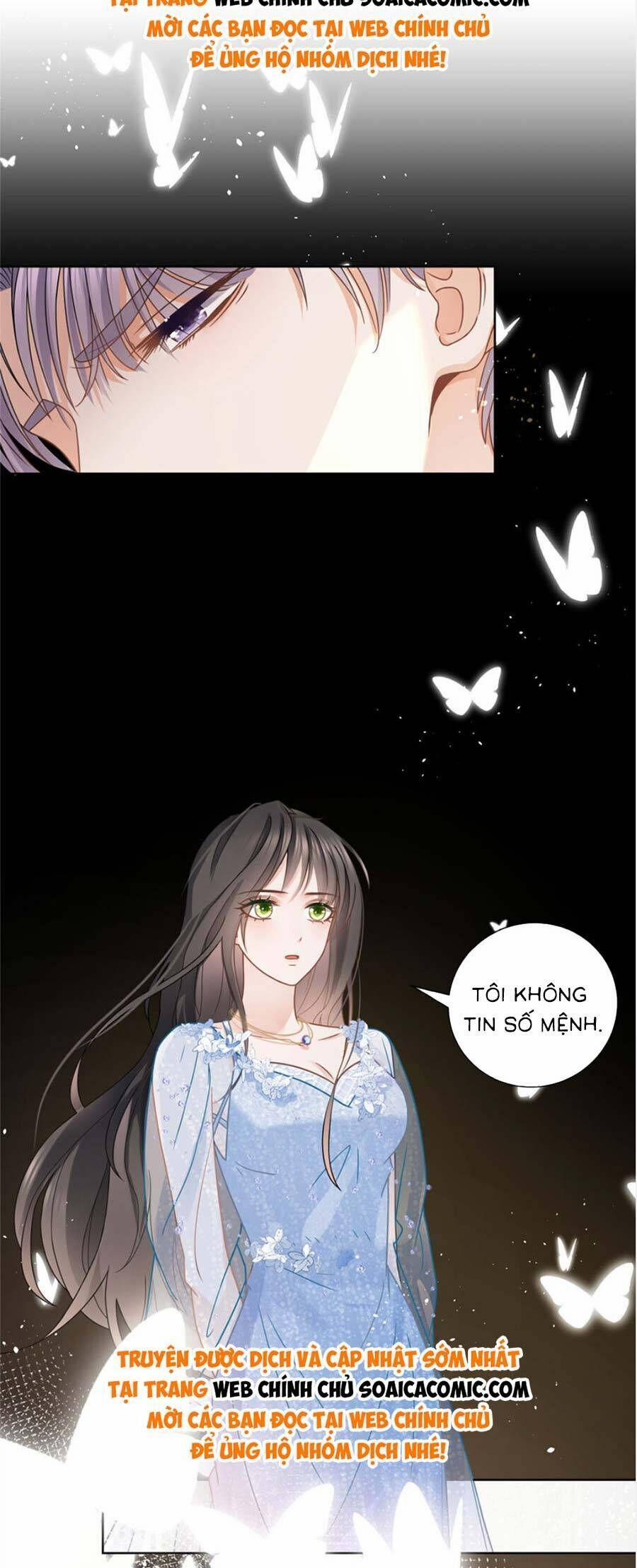 Boss Sát Thủ Dưỡng Hồ Yêu 113 trang 15