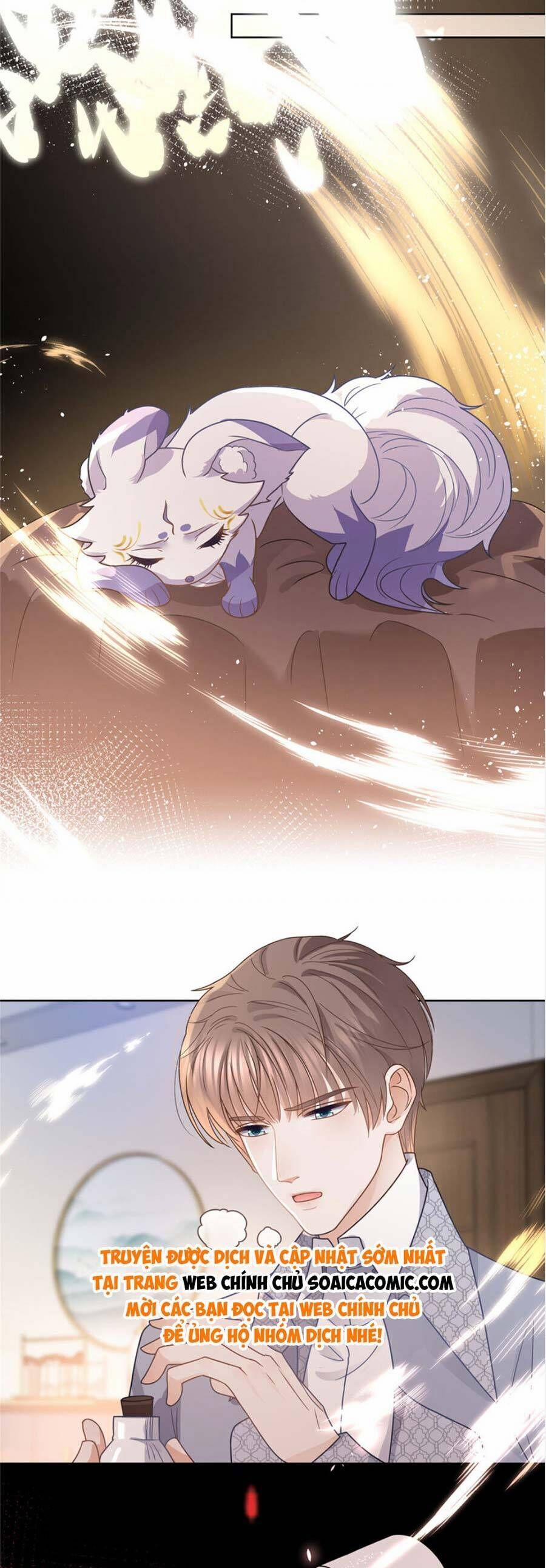 Boss Sát Thủ Dưỡng Hồ Yêu 113 trang 16