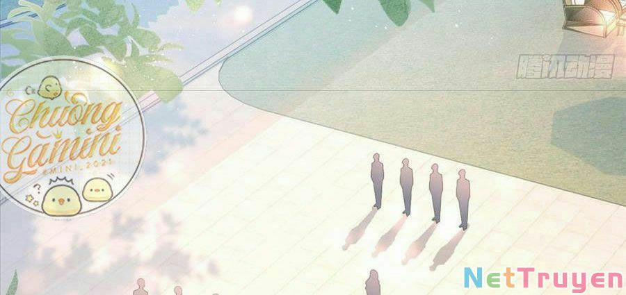 Boss Sát Thủ Dưỡng Hồ Yêu 12 trang 12