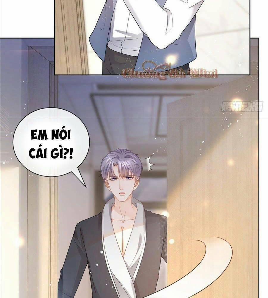 Boss Sát Thủ Dưỡng Hồ Yêu 13 trang 20