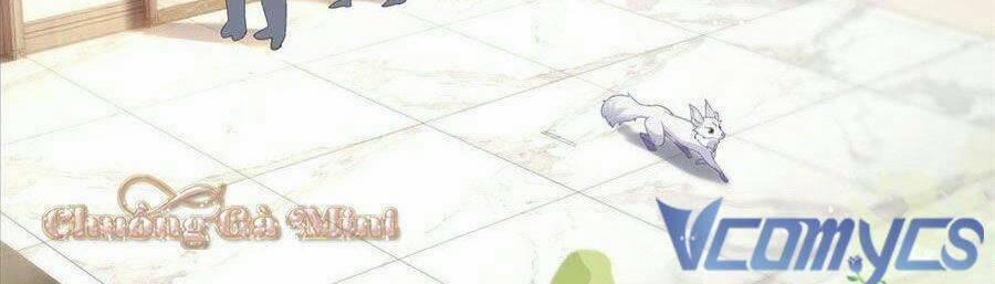 Boss Sát Thủ Dưỡng Hồ Yêu 13 trang 44