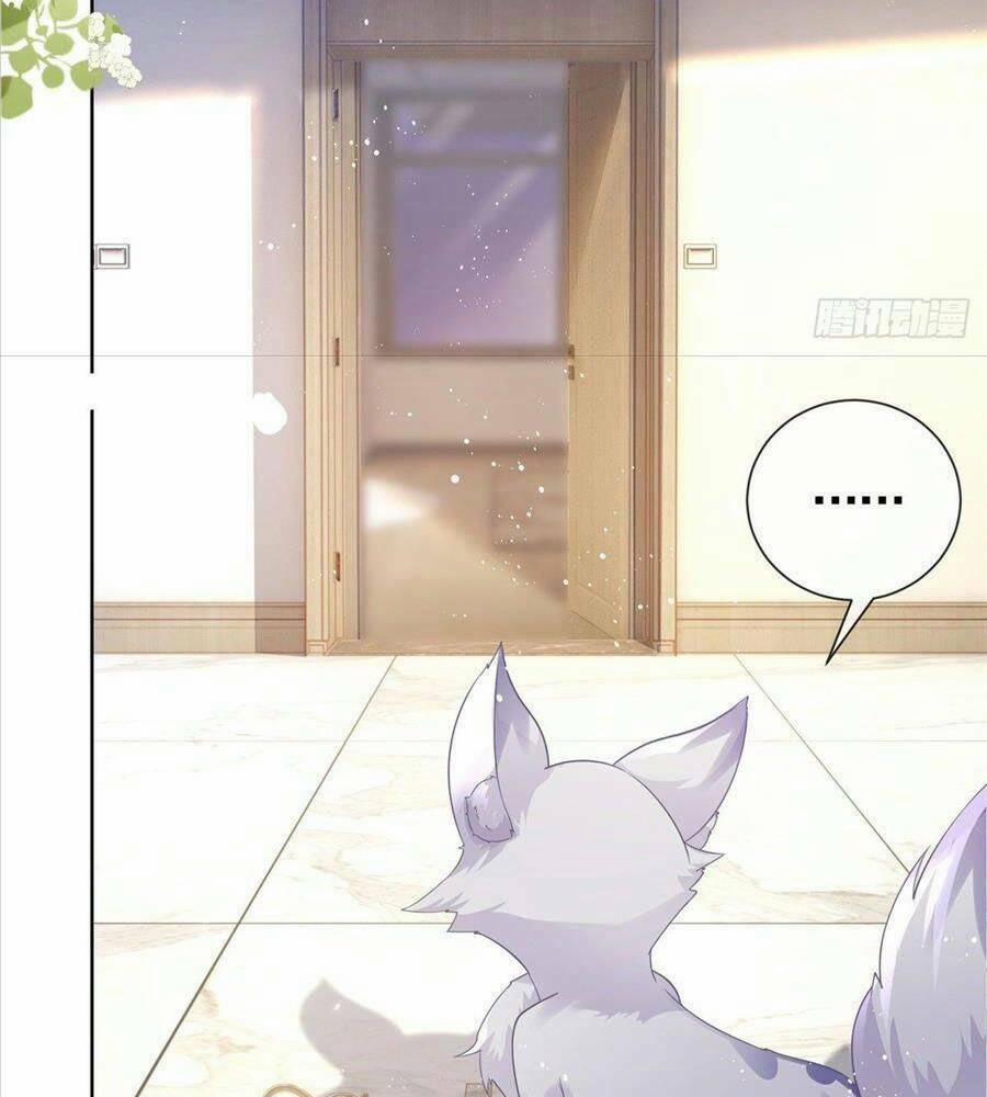 Boss Sát Thủ Dưỡng Hồ Yêu 13 trang 47