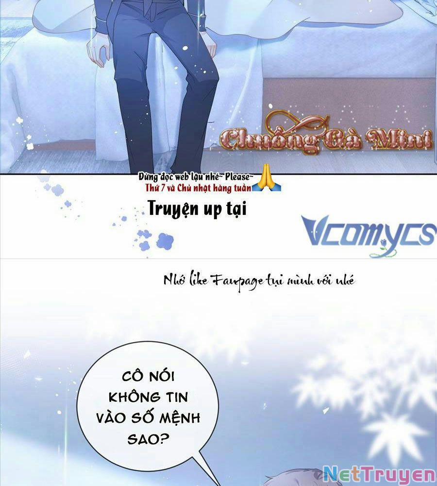 Boss Sát Thủ Dưỡng Hồ Yêu 15 trang 12