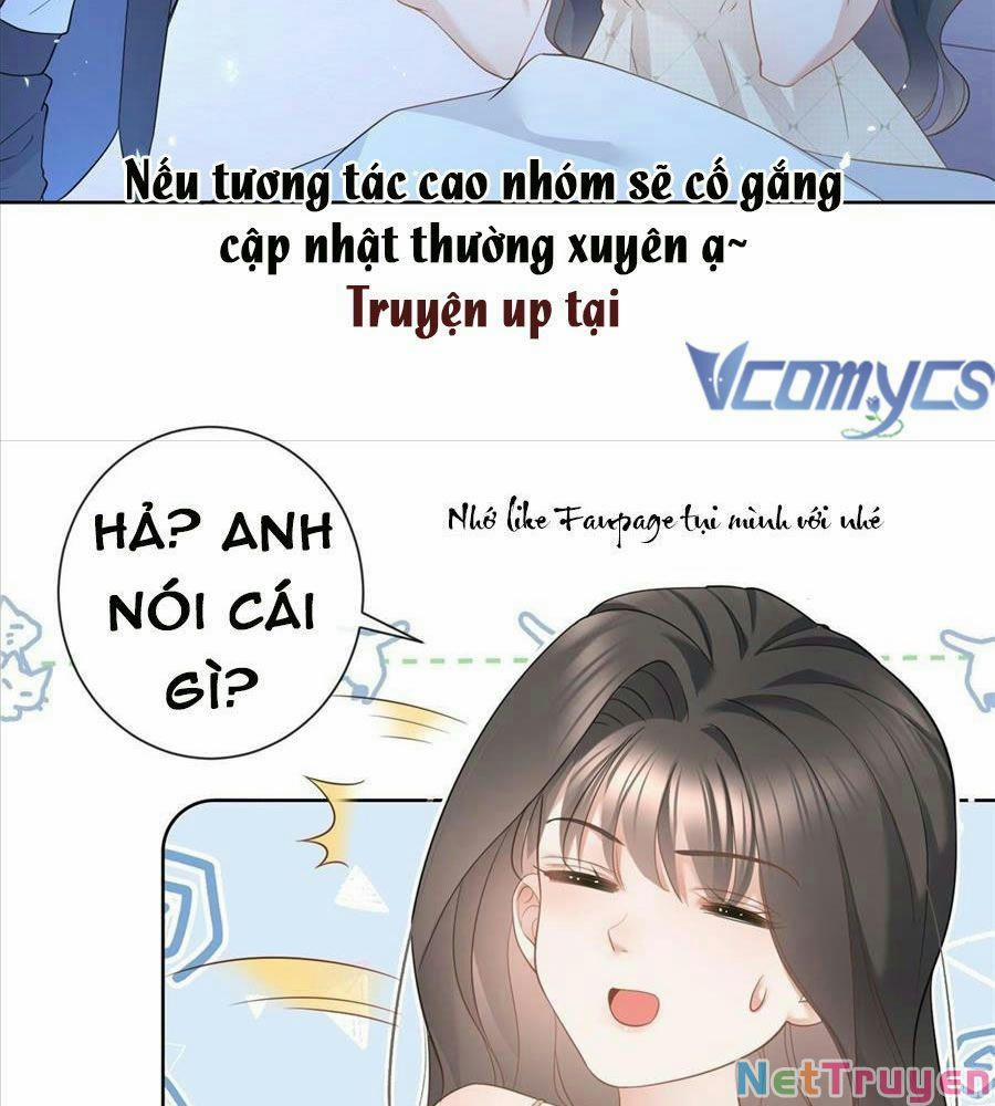 Boss Sát Thủ Dưỡng Hồ Yêu 15 trang 31