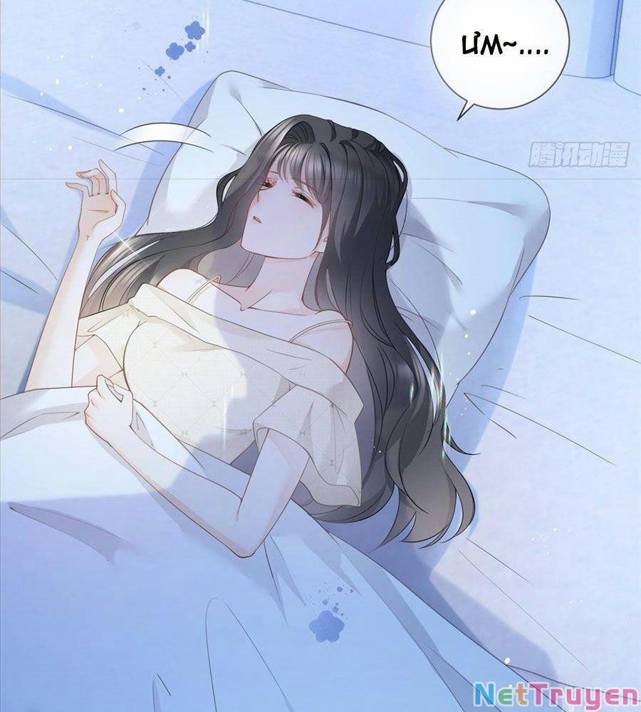Boss Sát Thủ Dưỡng Hồ Yêu 15 trang 6