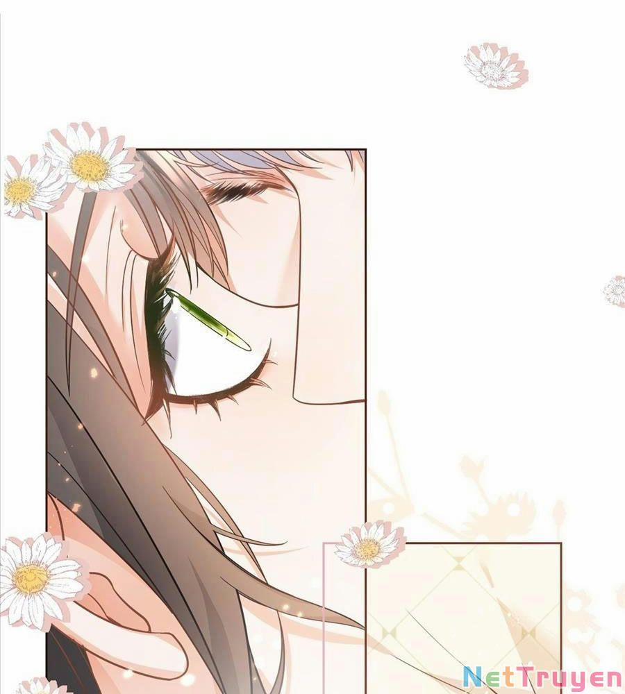 Boss Sát Thủ Dưỡng Hồ Yêu 15 trang 67