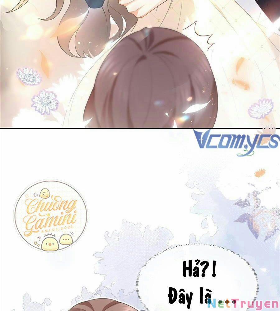 Boss Sát Thủ Dưỡng Hồ Yêu 15 trang 70