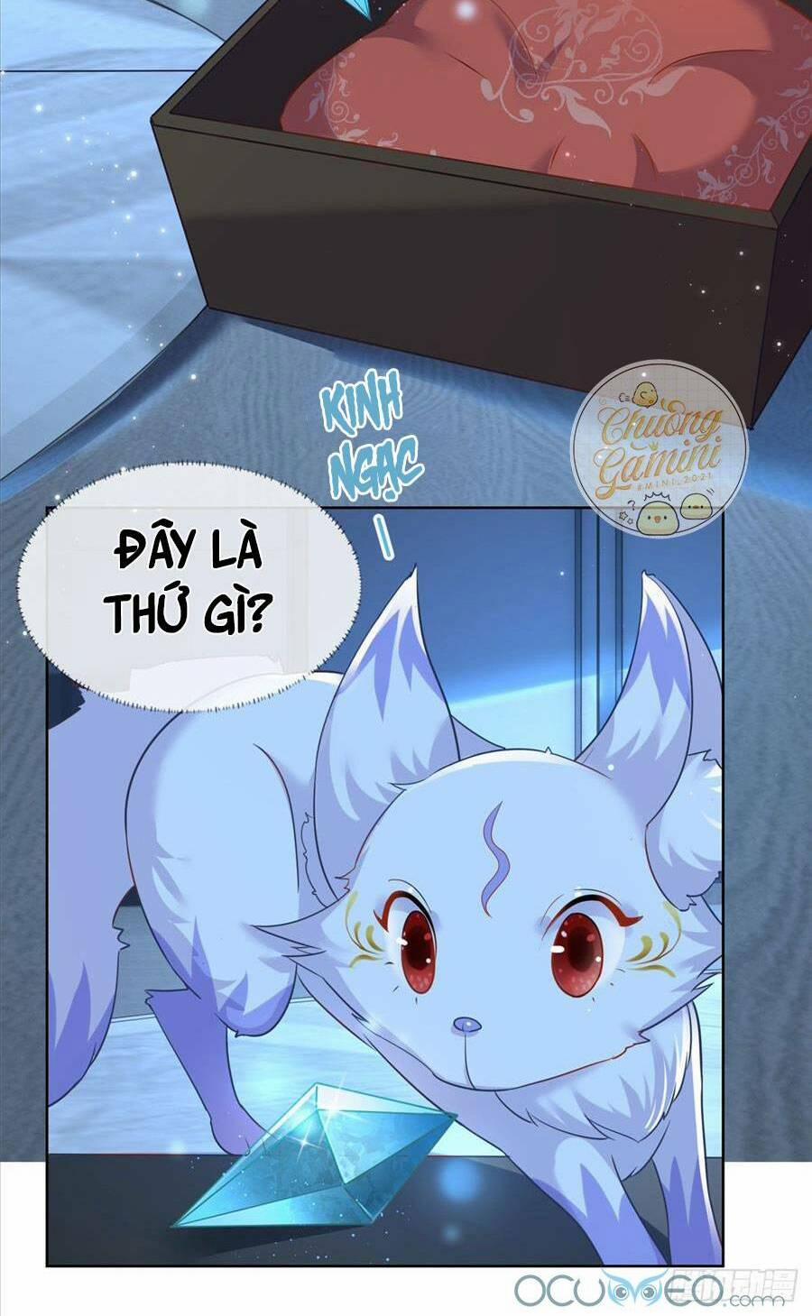 Boss Sát Thủ Dưỡng Hồ Yêu 2 trang 10