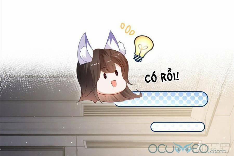 Boss Sát Thủ Dưỡng Hồ Yêu 2 trang 19