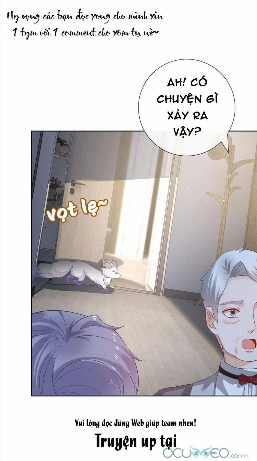 Boss Sát Thủ Dưỡng Hồ Yêu 2 trang 21