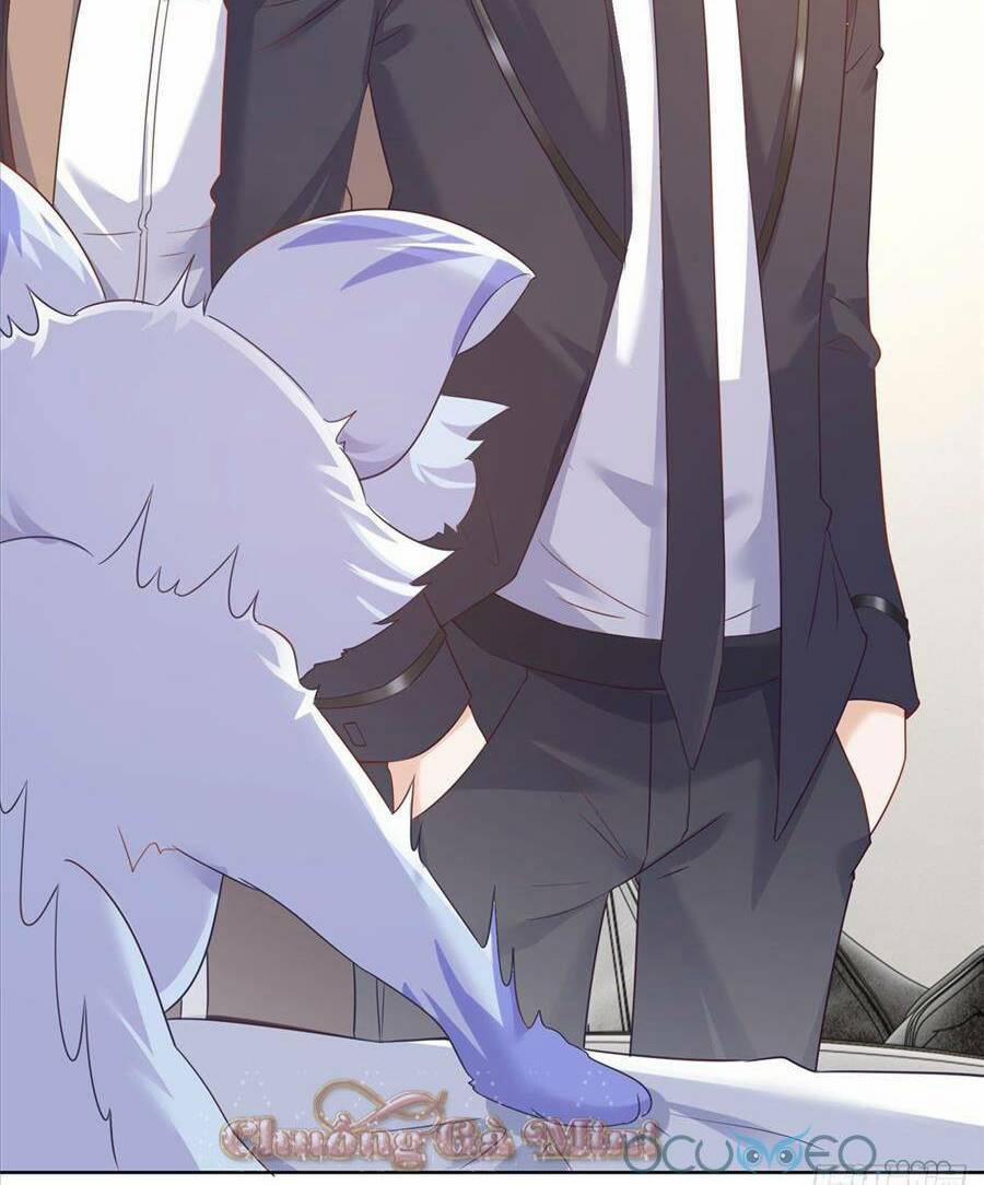 Boss Sát Thủ Dưỡng Hồ Yêu 2 trang 4