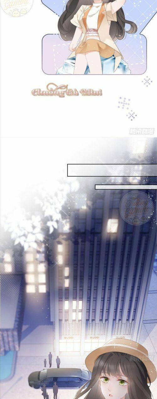 Boss Sát Thủ Dưỡng Hồ Yêu 6 trang 10