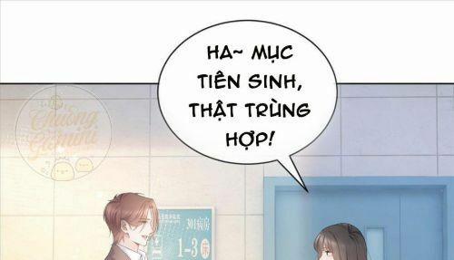 Boss Sát Thủ Dưỡng Hồ Yêu 7 trang 11