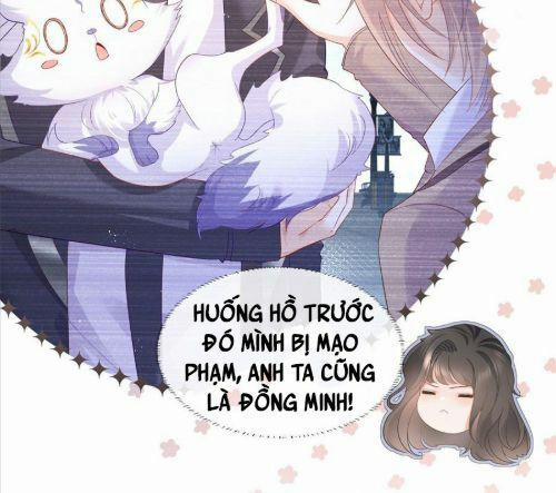 Boss Sát Thủ Dưỡng Hồ Yêu 7 trang 40