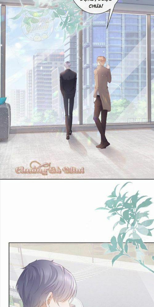 Boss Sát Thủ Dưỡng Hồ Yêu 8 trang 20