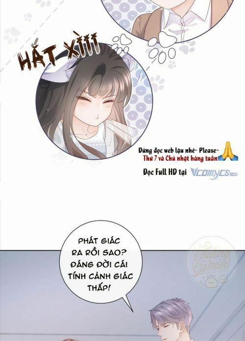 Boss Sát Thủ Dưỡng Hồ Yêu 8 trang 9