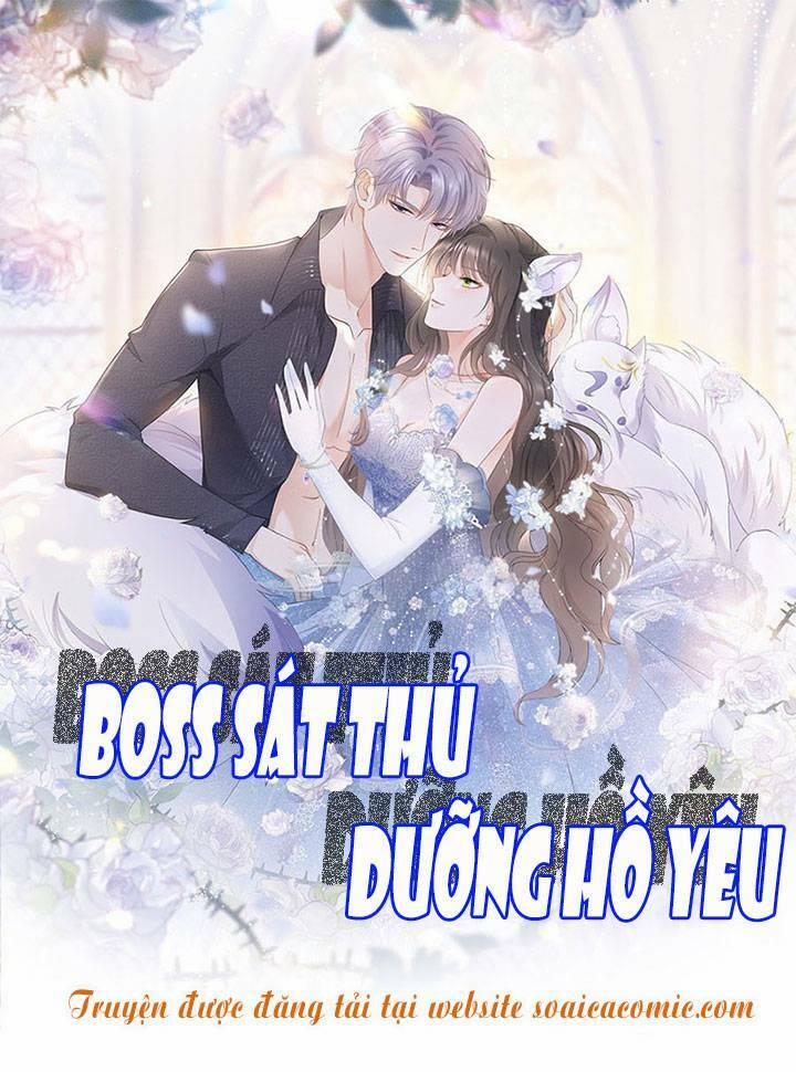 Boss Sát Thủ Dưỡng Hồ Yêu 85 trang 0