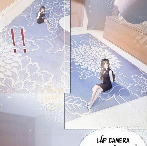 Boss Sát Thủ Dưỡng Hồ Yêu 9 trang 14