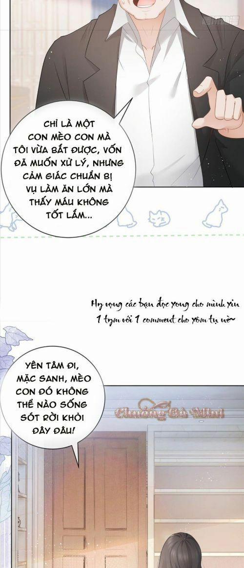 Boss Sát Thủ Dưỡng Hồ Yêu 9 trang 31