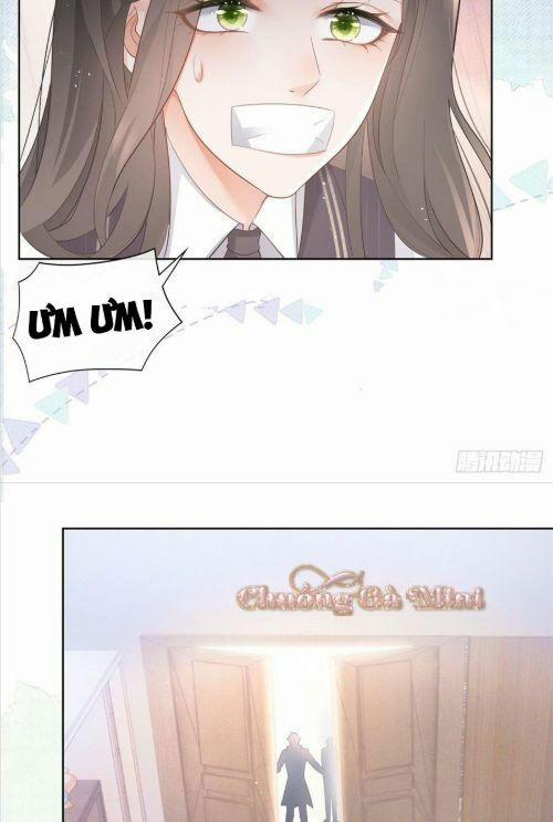Boss Sát Thủ Dưỡng Hồ Yêu 9 trang 45