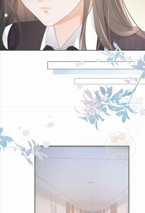 Boss Sát Thủ Dưỡng Hồ Yêu 9 trang 8