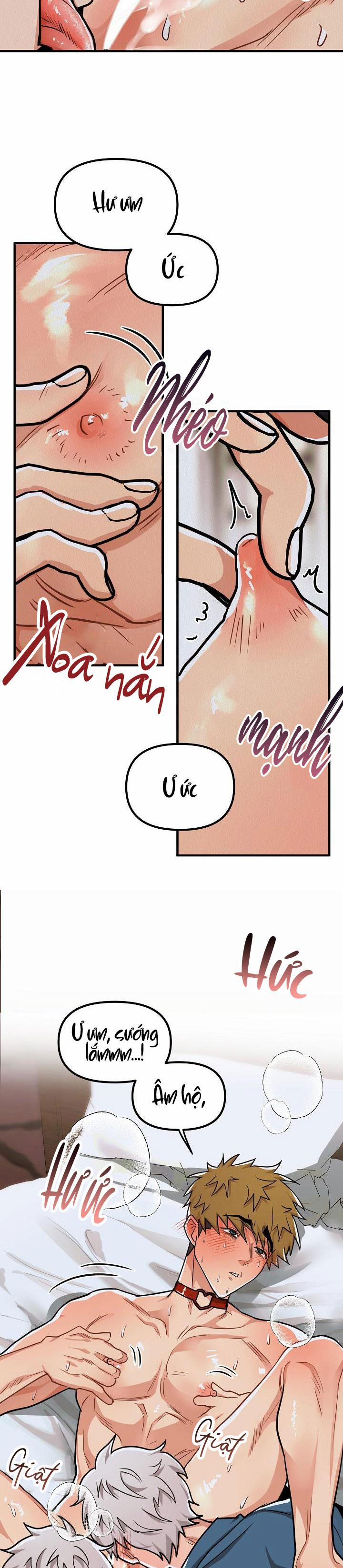 Boy Meets Girl 28 trang 13