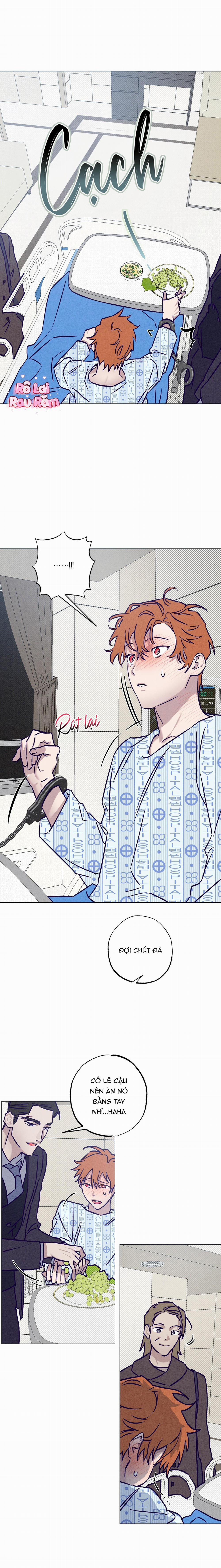 Bữa Sáng Trong Tù 24 trang 7