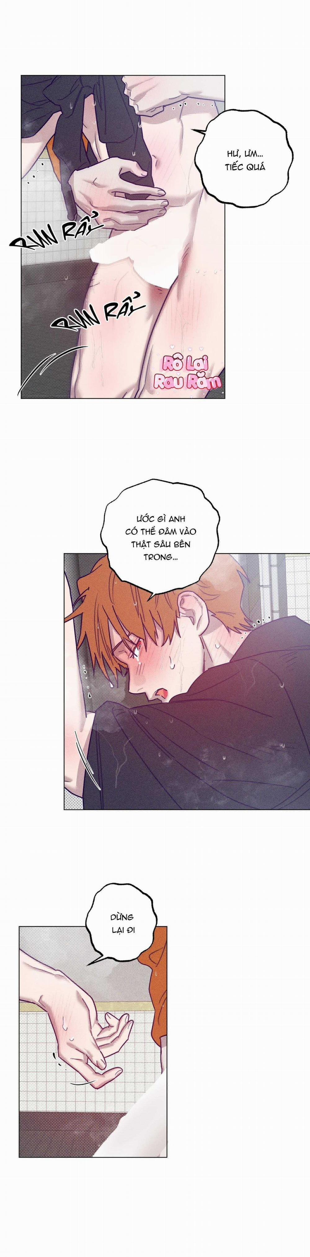 Bữa Sáng Trong Tù 36 trang 11