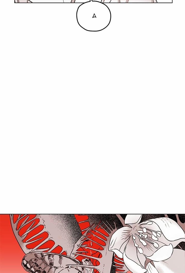 Bữa Tiệc Của Những Đóa Hoa 21 trang 67