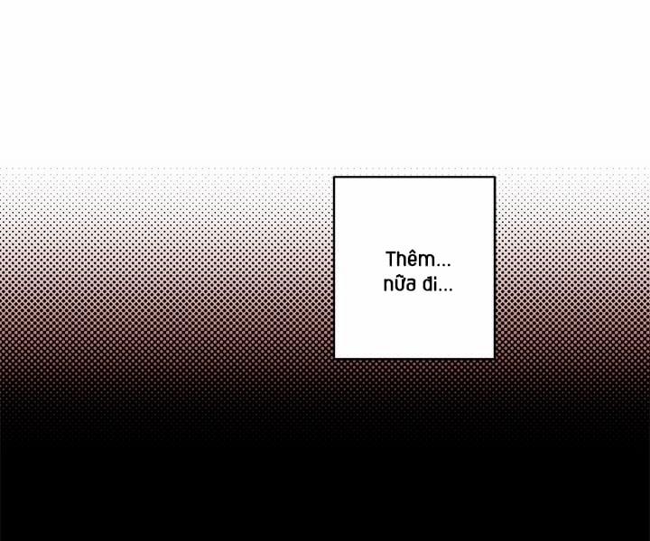 Bữa Tiệc Của Những Đóa Hoa 22 trang 26
