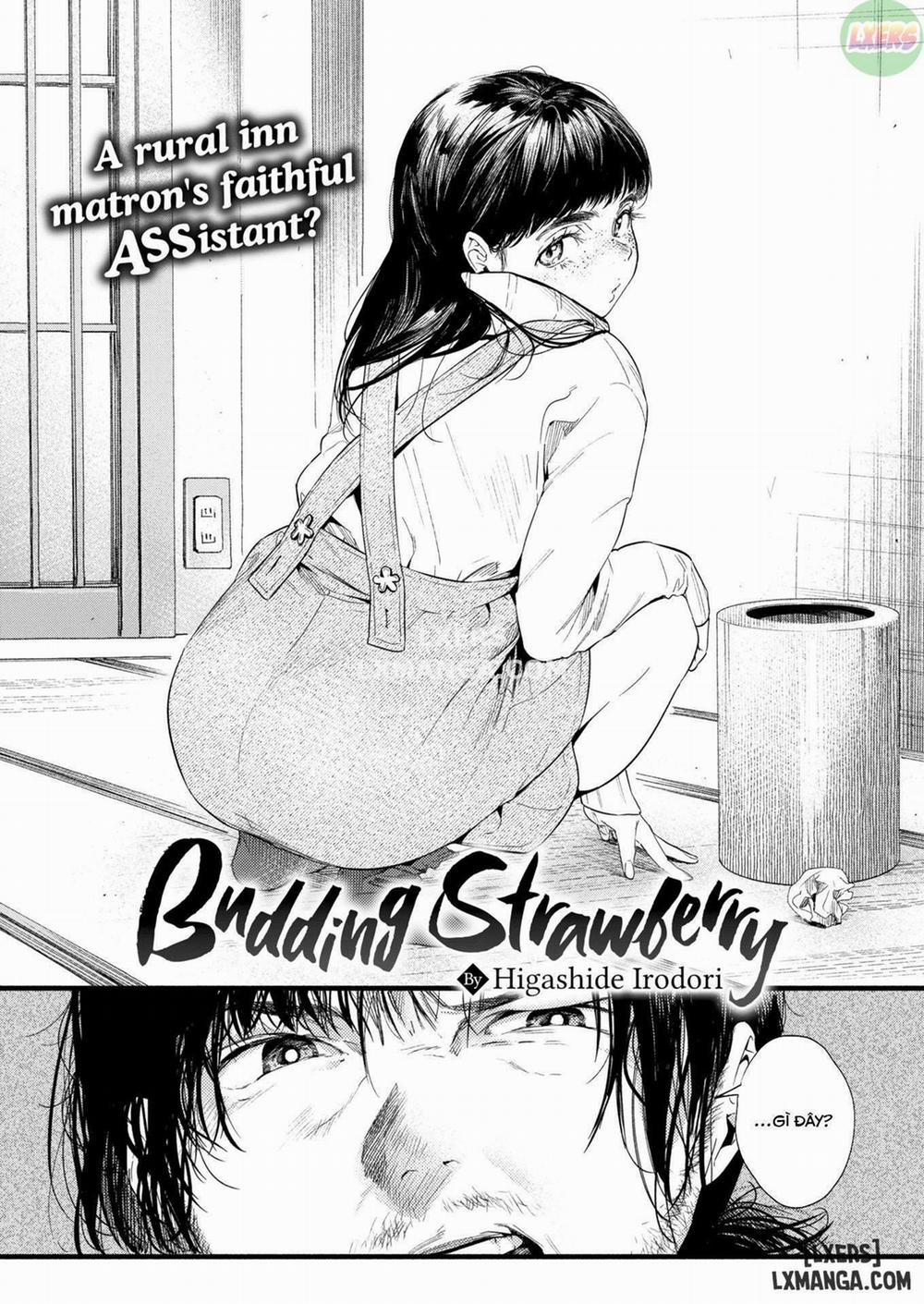 Budding Strawberry Oneshot trang 1