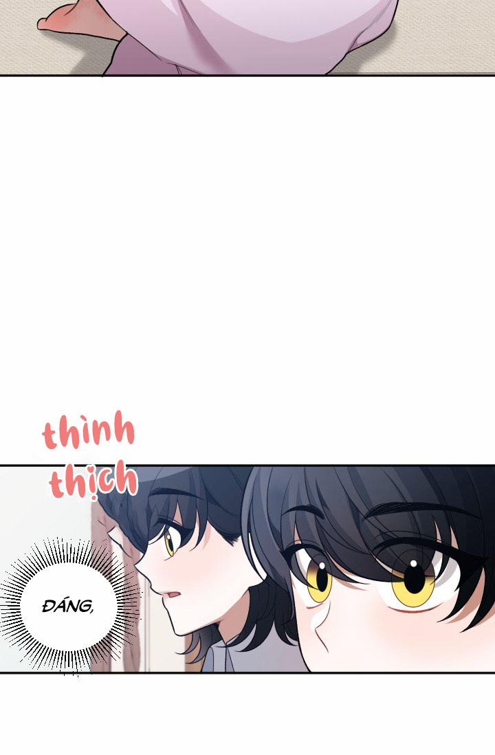 Bước Đi Trên Con Đường Hoa 8 trang 17