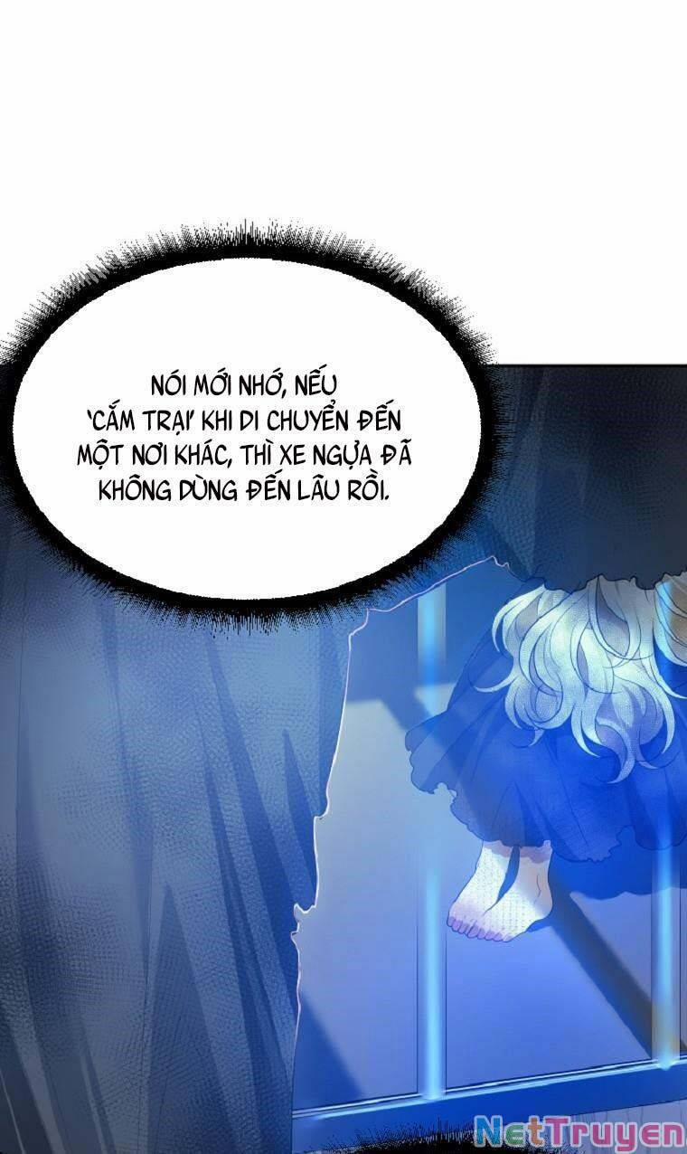 Bước Tới Con Đường Hoa 35 trang 12