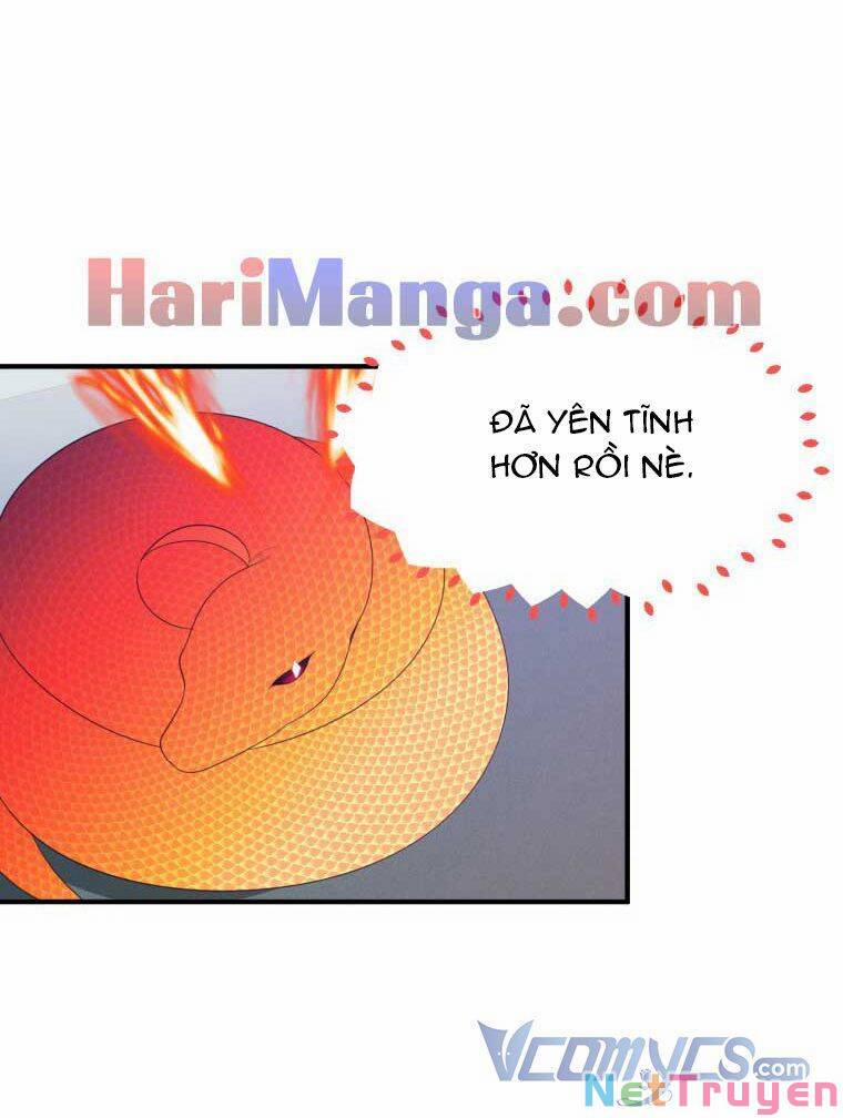 Bước Tới Con Đường Hoa 41 trang 45