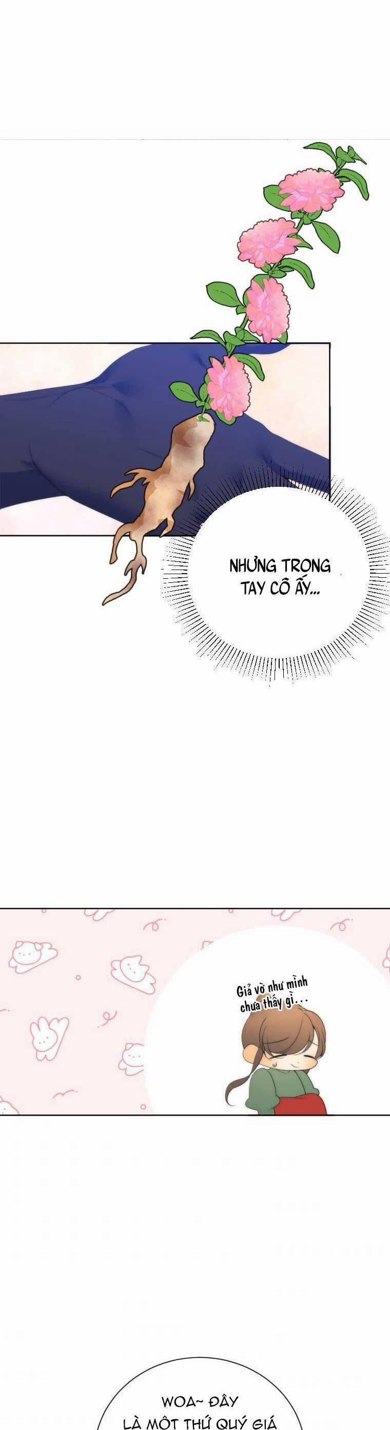 Bước Tới Con Đường Hoa 49 trang 14