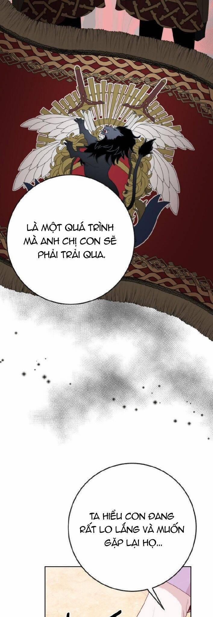 Bước Tới Con Đường Hoa 52 trang 16