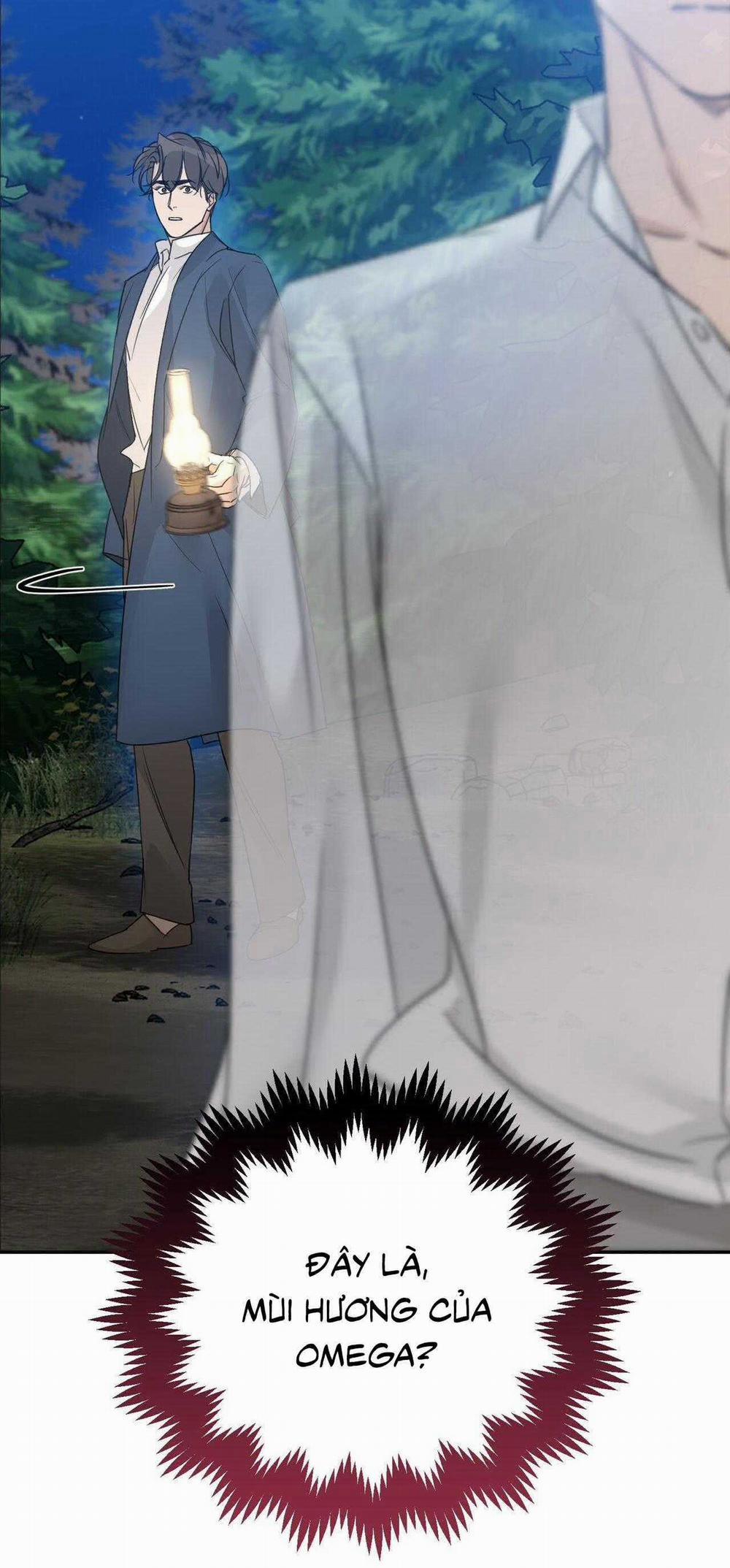 Bước Vào Vườn Hồng 46 trang 15