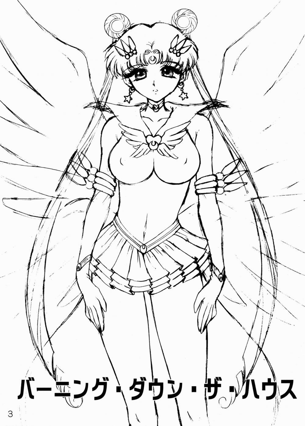 Burning Down The House (Sailor Moon) Oneshot trang 2