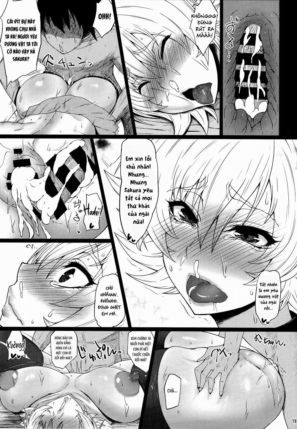 Buta Yome Sakura-Chan Oneshot nứng trang 16