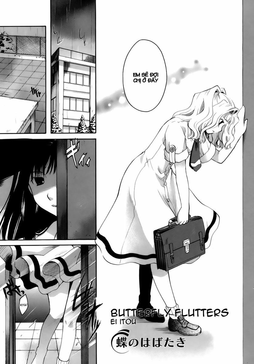 Butterfly Wings 2 [END] trang 2