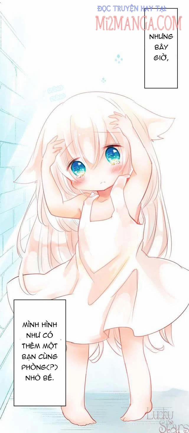 Ca Ca Xin Hãy Nhận Nuôi~Meow 1 trang 26