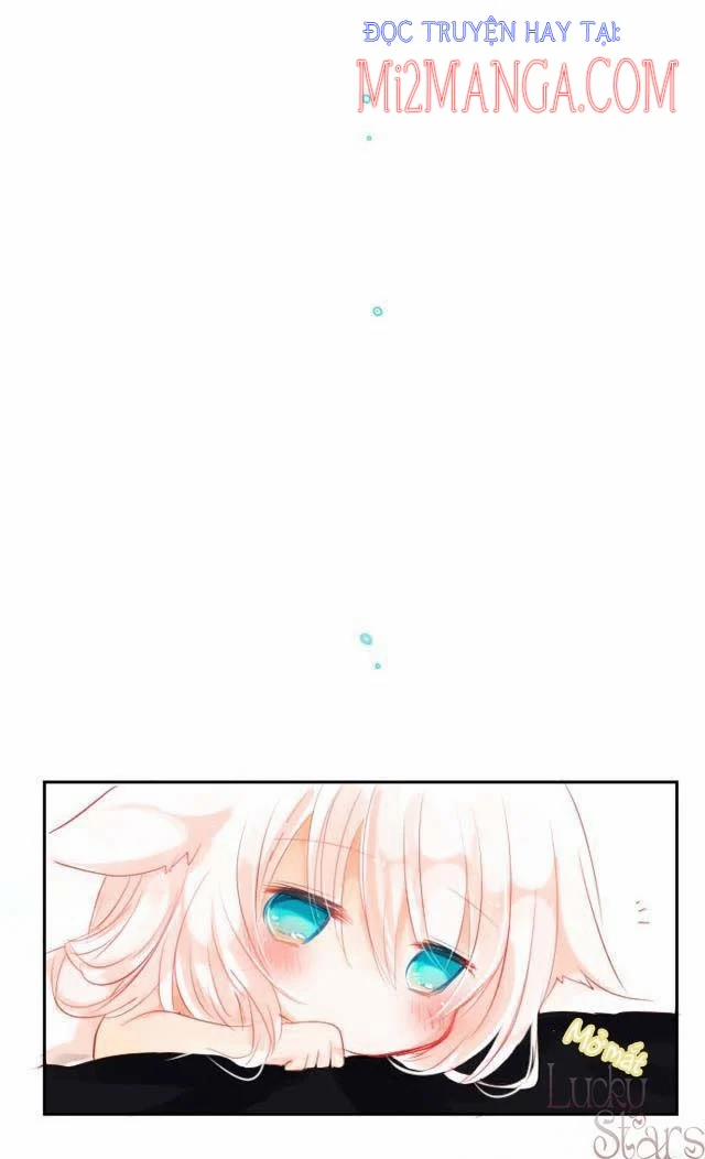 Ca Ca Xin Hãy Nhận Nuôi~Meow 2.5 trang 17