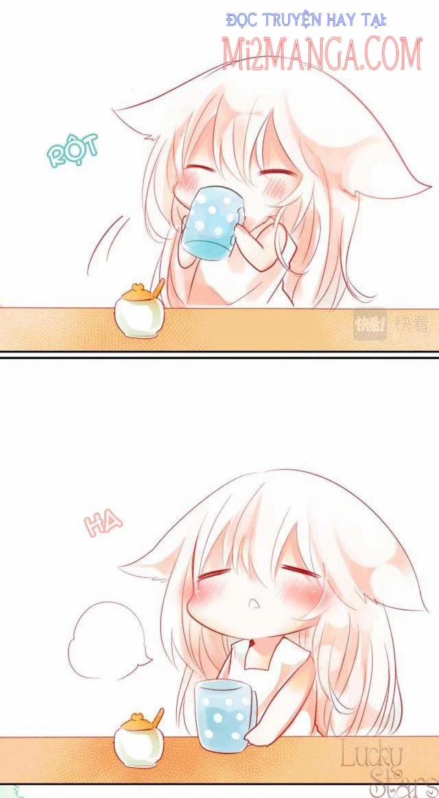 Ca Ca Xin Hãy Nhận Nuôi~Meow 2 trang 15