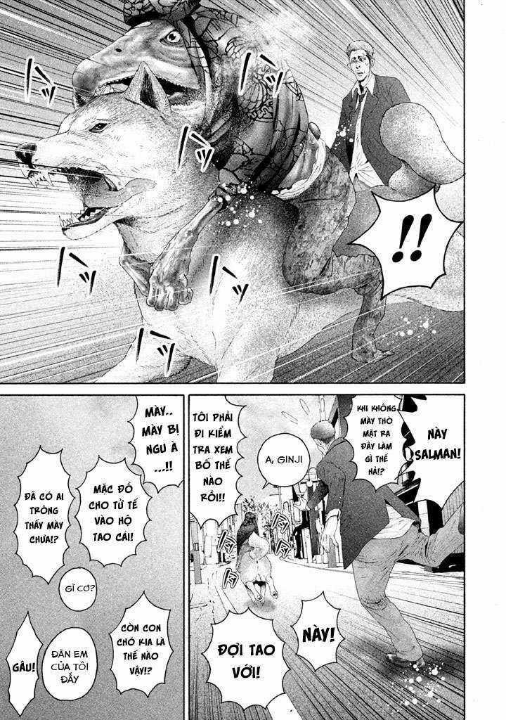 Cá Hồi 12 trang 12