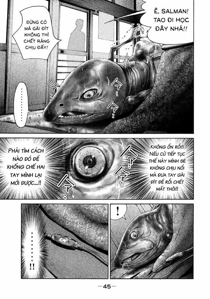 Cá Hồi 9 trang 15