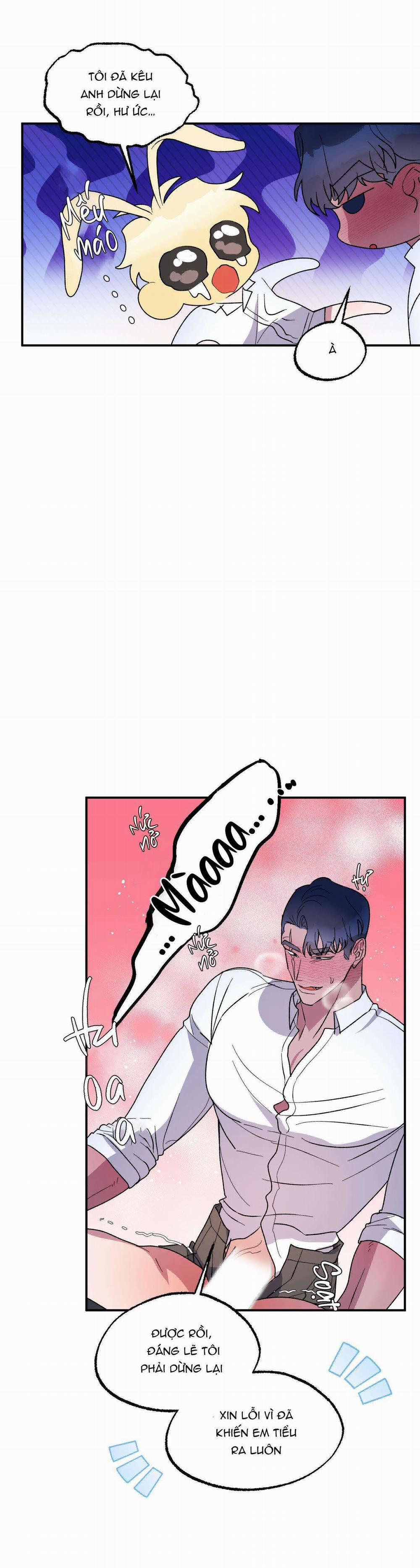 CÁ MẬP VÀ CÔ DÂU THỎ 0 END SS1 trang 48