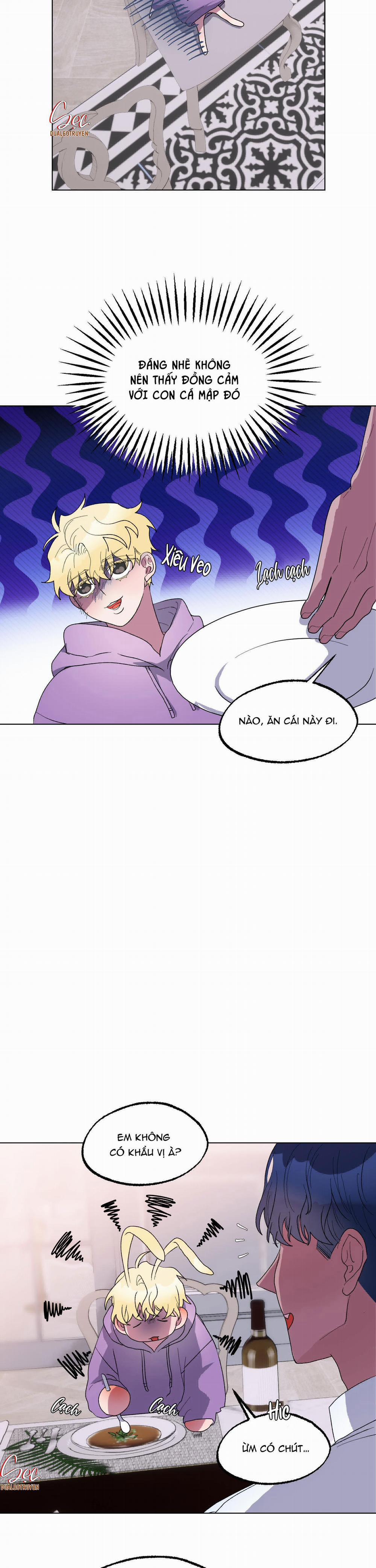CÁ MẬP VÀ CÔ DÂU THỎ 15 trang 1