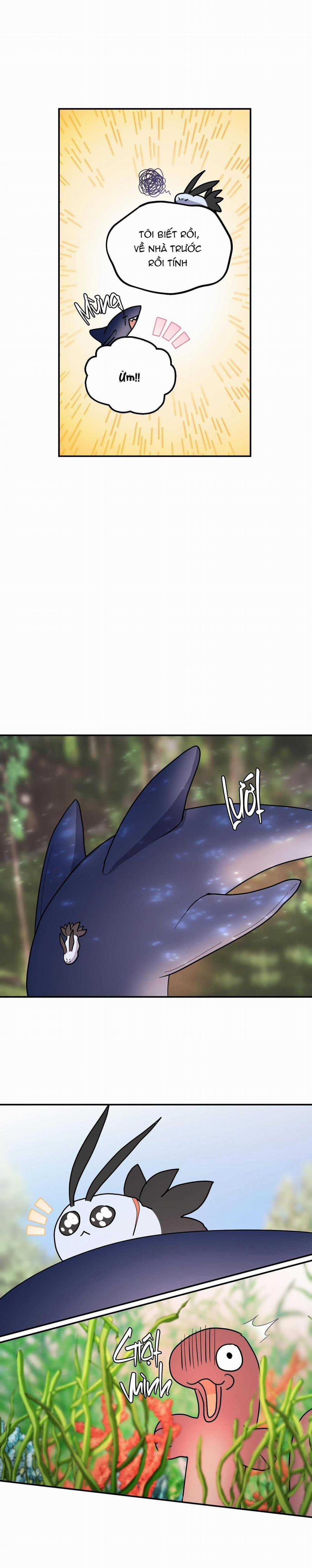CÁ MẬP VÀ CÔ DÂU THỎ 35 trang 10