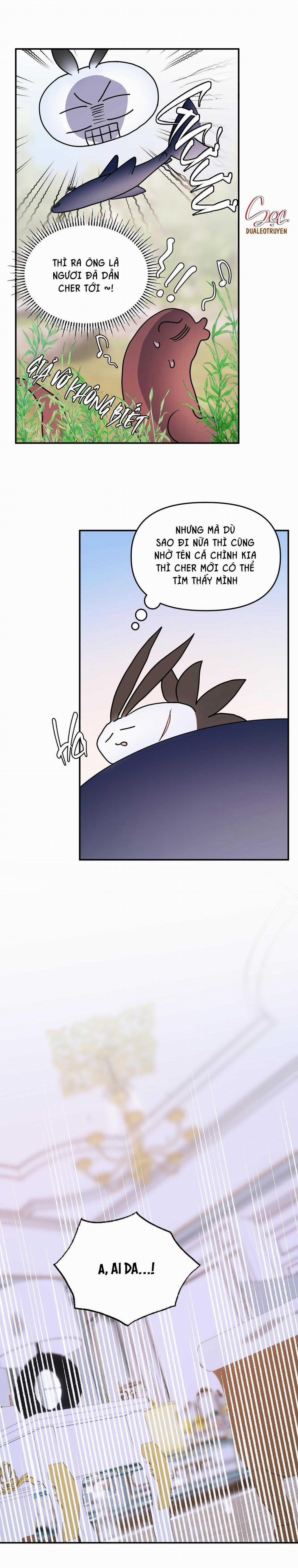 CÁ MẬP VÀ CÔ DÂU THỎ 35 trang 11