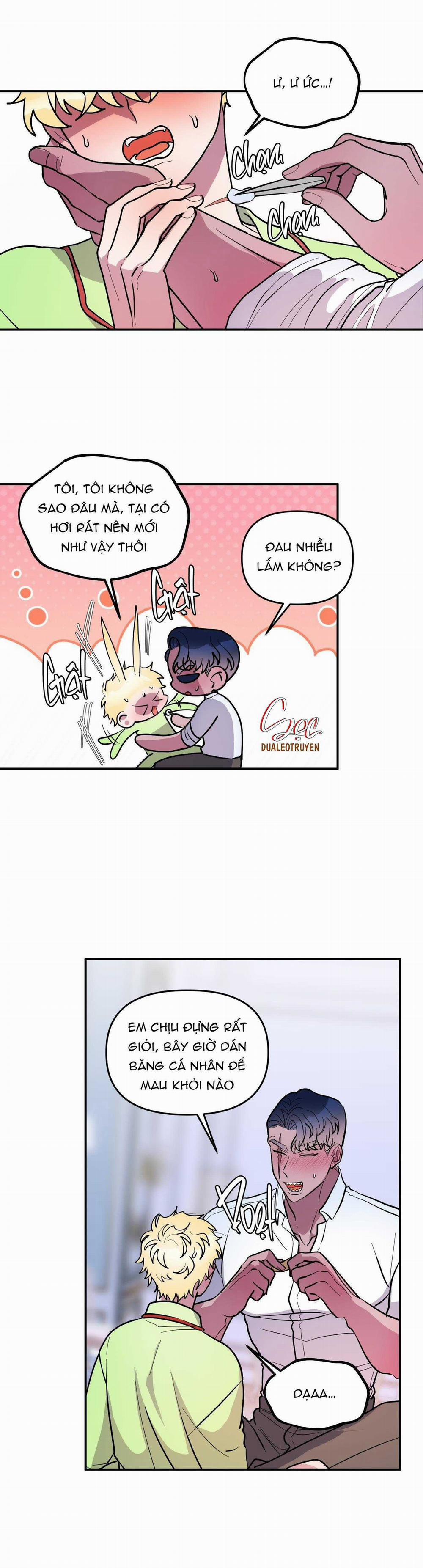 CÁ MẬP VÀ CÔ DÂU THỎ 35 trang 12